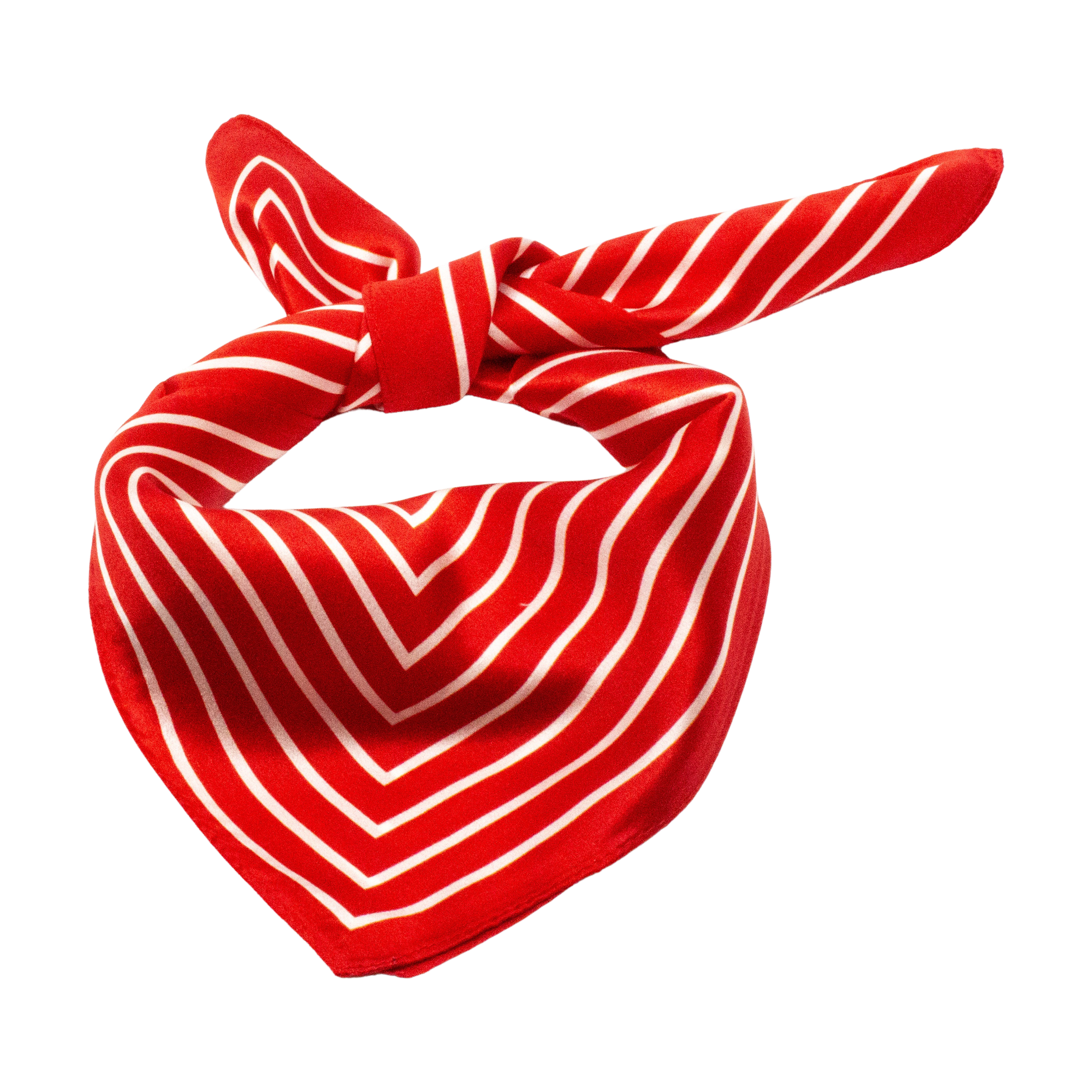 Eastbourne Sidensjalar 50x50cm Röd