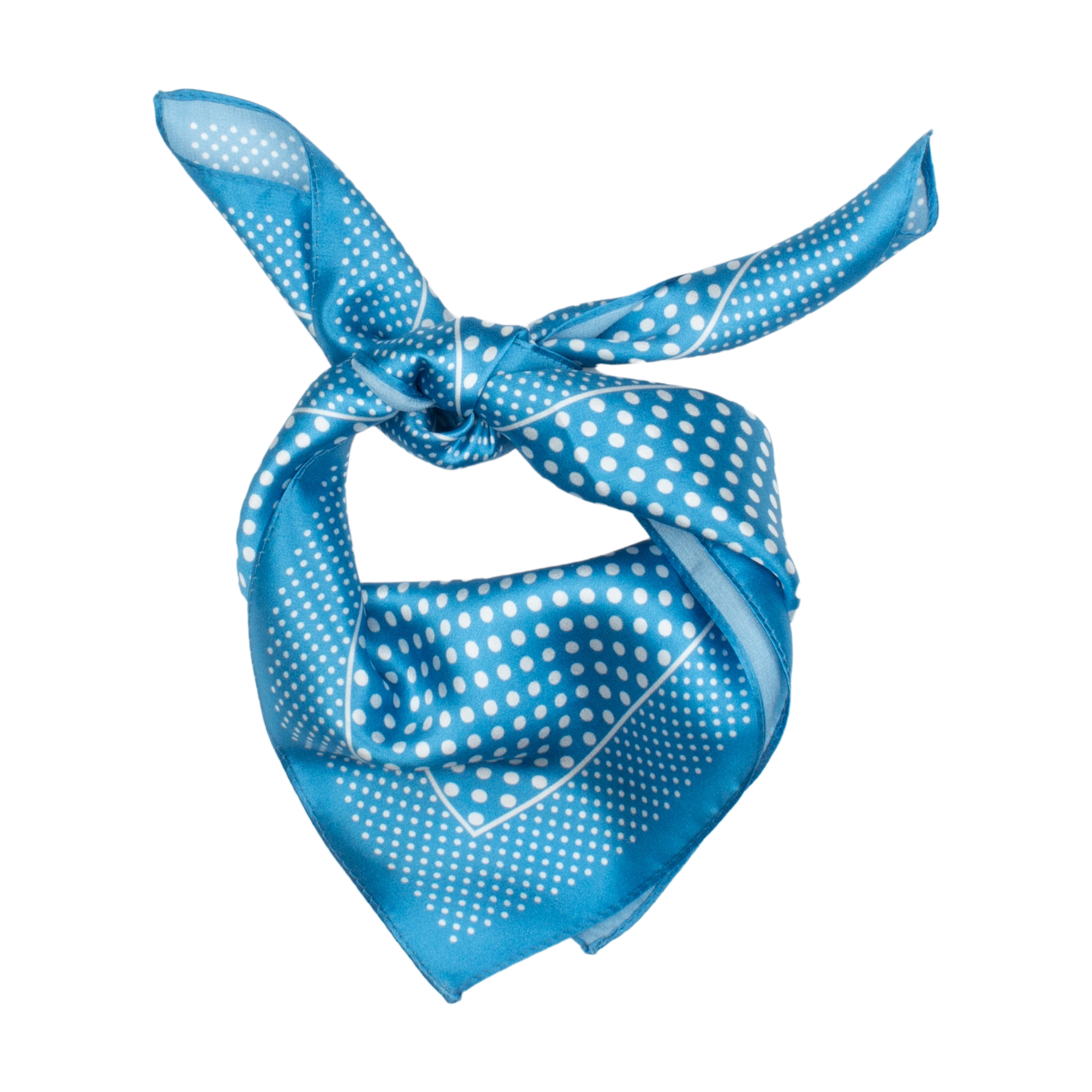 Hastings Sidensjal 50x50cm Blå