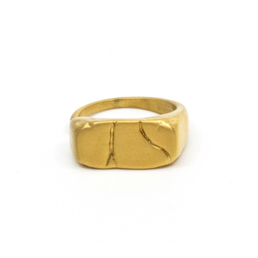 Mountain Signet Ring Guld Guld